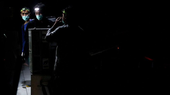 Kerja Keras Melestarikan Kukang Sumatera di Indonesia Konservasi satwa di Indonesia kini bekerja keras melestarikan Kukang Sumatera. Saat ini Kukang Sumatera terdaftar sebagai sebagai hewan yang terancam punah.