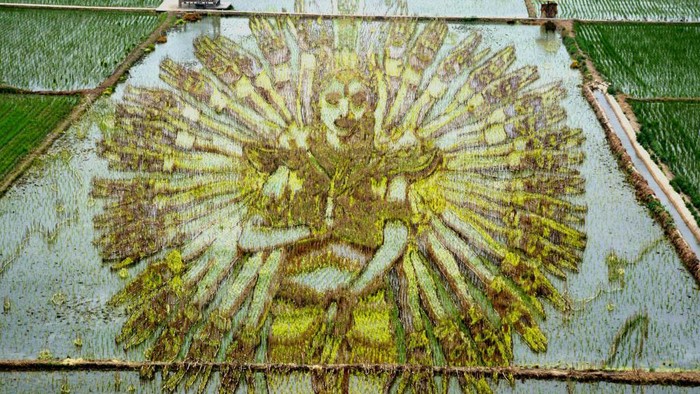 Seni tiga dimensi tak hanya memandang kanvas sebagai media, tapi juga lahan persawahan. Lansekap ini terlihat lebih keren dari foto drone. Penasaran?