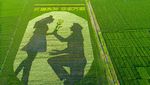 Lansekap Crop Circle 3D Paling Keren di China