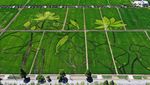 Lansekap Crop Circle 3D Paling Keren di China