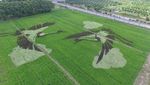 Lansekap Crop Circle 3D Paling Keren di China