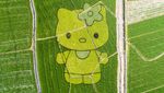 Lansekap Crop Circle 3D Paling Keren di China