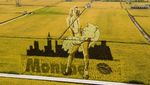 Lansekap Crop Circle 3D Paling Keren di China