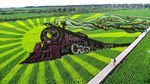 Lansekap Crop Circle 3D Paling Keren di China