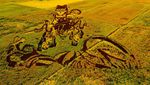 Lansekap Crop Circle 3D Paling Keren di China
