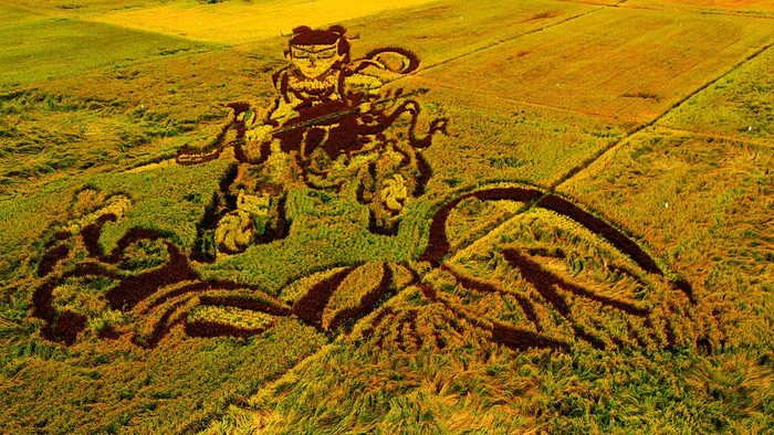 Seni tiga dimensi tak hanya memandang kanvas sebagai media, tapi juga lahan persawahan. Lansekap ini terlihat lebih keren dari foto drone. Penasaran?