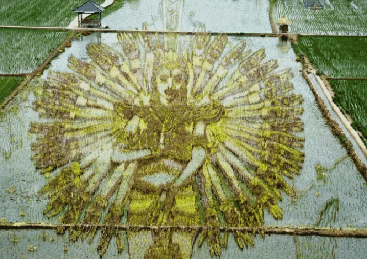 Lansekap Crop Circle 3D Paling Keren di China