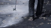 Lukisan berjudul Beyond Wall itu dibuat dengan cat biodegradable dari arang, kapur, air, dan protein susu.  