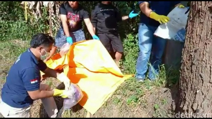 Petugas mengevakuasi bagian tubuh korban mutilasi yang ditemukan di Ungaran Timur, Kabupaten Semarang, Minggu (24/7/2022).
