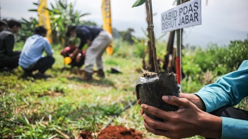 Sejumlah santri menanam pohon mangifera indica di Pondok Pesantren Baitul Hidayah, Desa Mandalamekar, Kabupaten Bandung, Jawa Barat, Senin (25/7/2022). Pemerintah Provinsi Jawa Barat bersama Pondok Pesantren Baitul Hidayah melakukan penanaman pohon mangifera indica serta melepasliarkan burung hantu dalam rangka peringatan Hari Hutan Hujan Sedunia. ANTARA FOTO/Raisan Al Farisi/rwa.