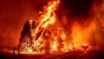 Wajah California Saat Dilanda Kebakaran Hutan Terbesar Tahun Ini