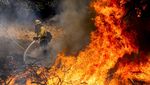 Wajah California Saat Dilanda Kebakaran Hutan Terbesar Tahun Ini