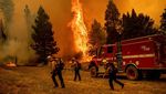 Wajah California Saat Dilanda Kebakaran Hutan Terbesar Tahun Ini