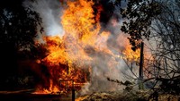 Api dari Oak Fire menghanguskan sebuah rumah di Triangle Road di Mariposa County, California, Sabtu, (23/7/2022).