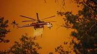 Sebuah helikopter menjatuhkan air di Oak Fire di Mariposa County, California. (AP/Ethan Swope)
