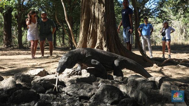 Wisatawan berkunjung di Taman Nasional Komodo, Pulau Komodo, Nusa Tenggara Timur, Minggu (24/7/2022). (CNBC Indonesia/ Andrean Kristianto)