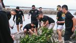 Alumni Akpol Tanam 5 Ribu Mangrove di Kepulauan Seribu
