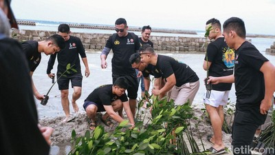 Alumni Akpol Tanam 5 Ribu Mangrove di Kepulauan Seribu