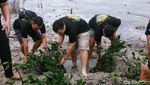 Alumni Akpol Tanam 5 Ribu Mangrove di Kepulauan Seribu