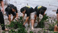 Alumni Akademi Kepolisian (Akpol) Angkatan 2017 Detasemen Hastadharana melakukan penanaman 5.000 bibit pohon mangrove di Pulau Tidung Besar, Kepulauan Seribu. Aksi bervisi lingkungan tersebut sekaligus untuk memperingati 5 tahun masa bakti Alumni Akpol 2017 dan mendukung salah satu program G20 bidang lingkungan.Dok.Akpol