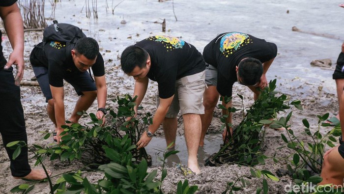 Tanam Mangrove Alumni Akademi Kepolisian (Akpol) Angkatan 2017 Detasemen Hastadharana melakukan penanaman 5.000 bibit pohon mangrove di Pulau Tidung Besar, Kepulauan Seribu. Aksi bervisi lingkungan tersebut sekaligus untuk memperingati 5 tahun masa bakti Alumni Akpol 2017 dan mendukung salah satu program G20 bidang lingkungan.