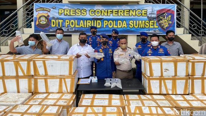 60 kotak benih lobster senilai Rp 27 miliar disita polisi.