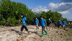 Aksi Tanam 40.000 Bibit Bakau di Hutan Mangrove Bali