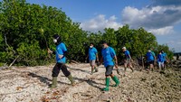Penanaman ini sebagai bagian dari komitmen Traveloka mengurangi emisi CO2, mendorong pelestarian ekowisata dan pengembangan pariwisata berkelanjutan, serta mendorong ekonomi dan meningkatkan kesejahteraan masyarakat sekitar.