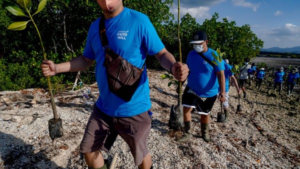 Program ini bagian dari #PahlawanPohon yang diluncurkan pada Maret lalu di mana Traveloka menanam 40.000 bibit bakau di lokasi yang sama.