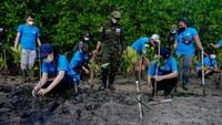 Diketahui sebanyak 40.000 bibit bakau itu akan ditanam di area seluas 12,5 hektar kawasan hutan Mangrove di Kecamatan Gerokgak, Buleleng.