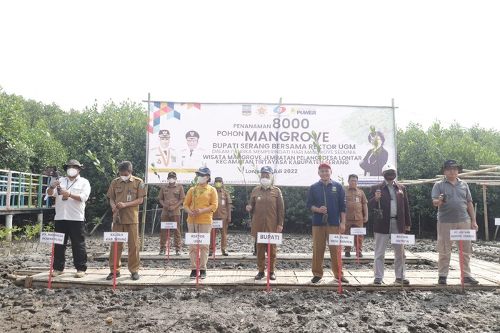 Bupati Serang Ratu Tatu Chasanah bersama dengan Rektor Universitas Gadjah Mada (UGM) Ova Emilia menanam sebanyak 8.000 pohon mangrove di pesisir Pantai Lontar, Kecamatan Tirtayasa, Kabupaten Serang, Selasa (26/7).
