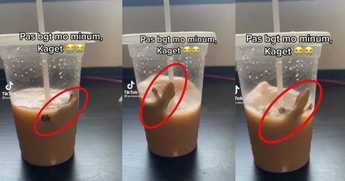 Jijik! Netizen Ini Temukan Cicak Berenang Dalam Minumannya