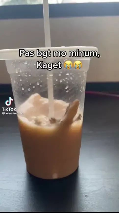 Jijik! Netizen Ini Temukan Cicak Berenang Dalam Minumannya