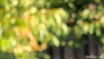 Halooo. Foto: Crap Wildlife Photography via Boredpanda