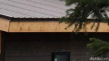 Bersantai Foto: Crap Wildlife Photography via Boredpanda