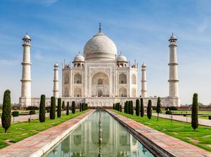 Taj Mahal Diserbu Monyet Liar, Turisnya Luka-luka