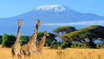 10 Rute Trekking Paling Top di Dunia Versi Lonely Planet, Gunung Rinjani Masuk