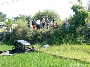 Pikap Terjun ke Sawah di Jalur Angker Tasikmalaya