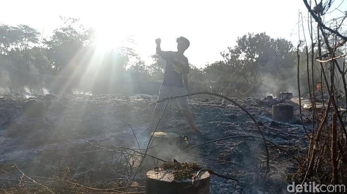 Lokasi kandang ayam di Pasuruan ludes terbakar