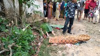 Dilaporkan 9 orang korban terdiri dari 3 anak-anak dan 6 orang ibu-ibu. Korban tewas dibawa ke RS dr Drajat Prawiranegara (RSDP) (Foto: dok. istimewa)