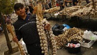 Penjual menjajakan bawangnya. Spanyol dikenal dengan kualitas bawang putihnya. Negeri matador itu memiliki festival bawang yang bernama Gran Fiesta de la Calçotada.  
