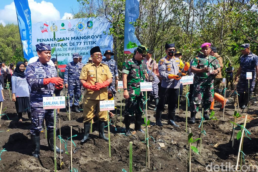 Penanaman mangrove di Pantai Cemara Banyuwangi