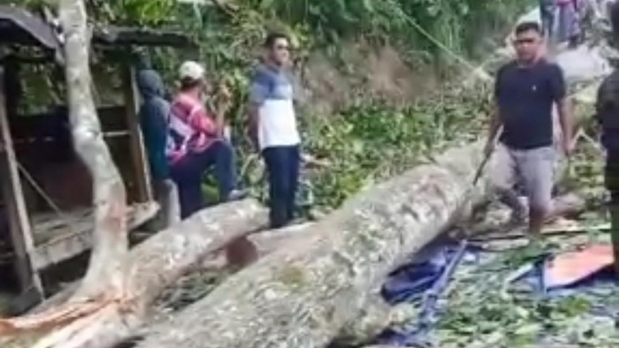 Pohon tumbang timpa balai desa di Enrekang, Sulsel.