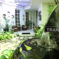 Rumah penyanyi Yuni Shara bak oasis di tengah kegersangan ibukota. Betapa tidak, pohon rindang dan tumbuhan rimbun mengelilingi bangunan hunian bergaya american-classic itu. (Foto: YouTube TRANS7 OFFICIAL)