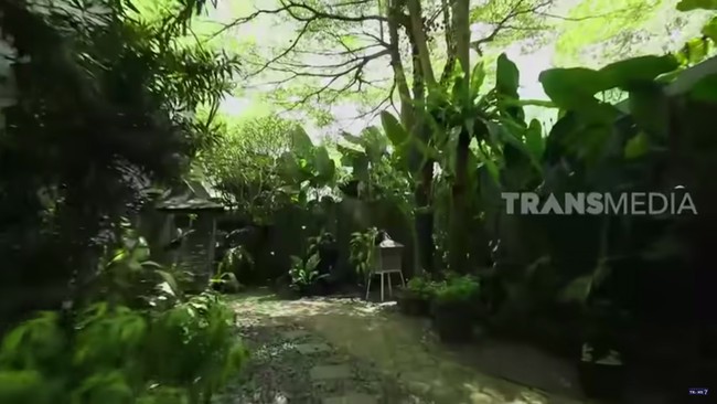 Halaman tentu menjadi bagian primadona di rumah Yuni yang berlokasi di bilangan Ragunan, Jakarta Selatan, ini. Semasa pandemi, ia sering menghabiskan waktu di sini sambil menikmati udara segar. Ia bahkan pernah mengunggah konten di TikTok yang memperlihatkan dirinya sedang nyalon di area yang dipenuhi pepohonan rindang itu. (Foto: YouTube TRANS7 OFFICIAL)