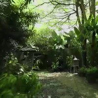 Halaman tentu menjadi bagian primadona di rumah Yuni yang berlokasi di bilangan Ragunan, Jakarta Selatan, ini. Semasa pandemi, ia sering menghabiskan waktu di sini sambil menikmati udara segar. Ia bahkan pernah mengunggah konten di TikTok yang memperlihatkan dirinya sedang nyalon di area yang dipenuhi pepohonan rindang itu. (Foto: YouTube TRANS7 OFFICIAL)