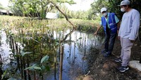 Hal itu sebagai bukti kepedulian serta komitmen perusahaan terhadap isu perubahan iklim dan perbaikan ekosistem. 