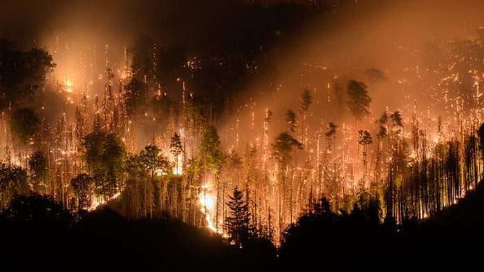 Taman Nasional Bohemian Swiss di Ceko Terbakar 26 July 2022, Czech Republic, Hrensko: View of the forest fire in the Czech National Park Bohemian Switzerland in Hrensko near the border with Saxony. In the meantime, the fire is also spreading on the German side in the Saxon Switzerland National Park. Photo: Robert Michael/dpa (Photo by Robert Michael/picture alliance via Getty Images)