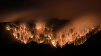 Api menyebar di area seluas kurang lebih 7 hektar. Kebakaran terjadi tidak jauh dari formasi batuan indah yang populer di kalangan wisatawan.   