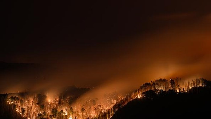 26 July 2022, Czech Republic, Hrensko: View of the forest fire in the Czech National Park Bohemian Switzerland in Hrensko near the border with Saxony. In the meantime, the fire is also spreading on the German side in the Saxon Switzerland National Park. Photo: Robert Michael/dpa (Photo by Robert Michael/picture alliance via Getty Images)
